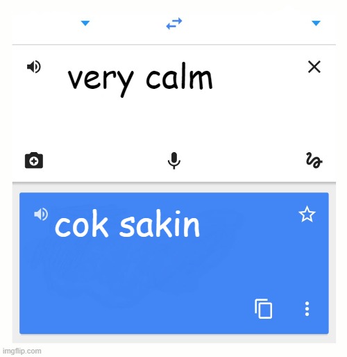 gogel tranlate english -> turkish | very calm; cok sakin | image tagged in google translate | made w/ Imgflip meme maker