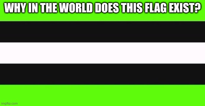 dreamsexual flag | WHY IN THE WORLD DOES THIS FLAG EXIST? | image tagged in dreamsexual flag | made w/ Imgflip meme maker