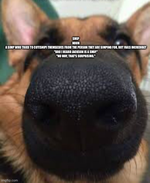 German shepherd but funni | SMIP

NOUN

A SIMP WHO TRIED TO CUT(SNIP) THEMSELVES FROM THE PERSON THEY ARE SIMPING FOR, BUT FAILS INCREDIBLY

"BRO I HEARD JACKSON IS A SMIP."
"NO WAY, THAT'S SURPRISING." | image tagged in german shepherd but funni | made w/ Imgflip meme maker
