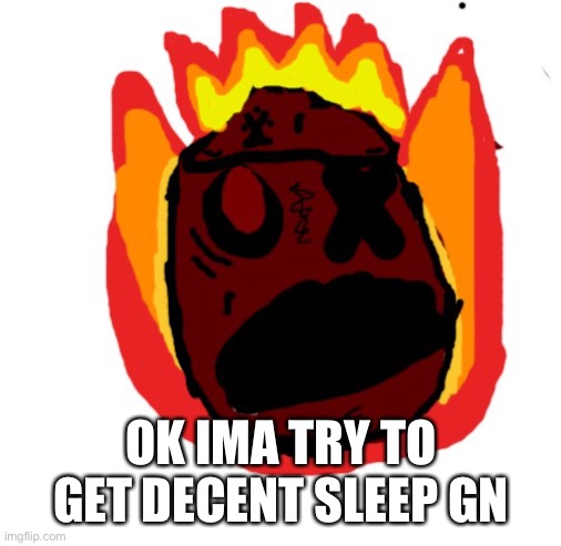 Angy man burns alive | OK IMA TRY TO GET DECENT SLEEP GN | image tagged in angy man burns alive | made w/ Imgflip meme maker