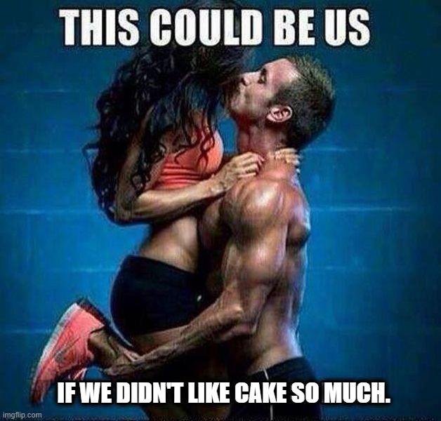 IF WE DIDN'T LIKE CAKE SO MUCH. | image tagged in insult | made w/ Imgflip meme maker