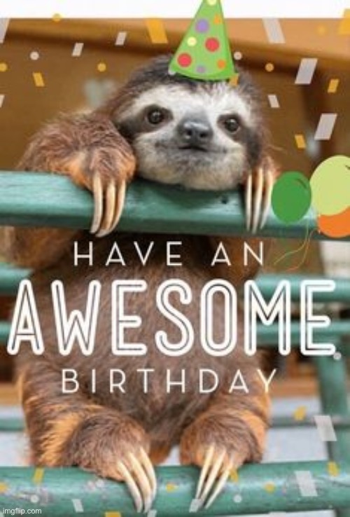 Sloth birthday | image tagged in sloth birthday | made w/ Imgflip meme maker