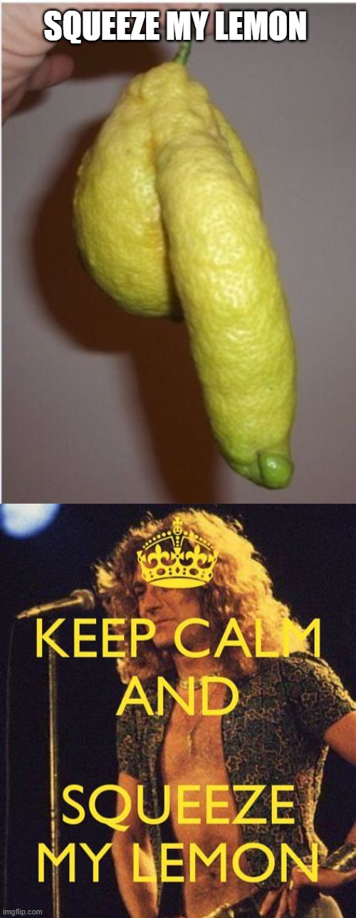 SQUEEZE MY LEMON | image tagged in led zeppelin,lemon | made w/ Imgflip meme maker