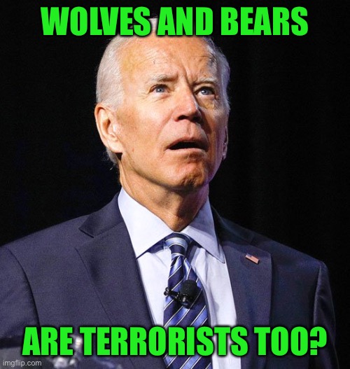 Joe Biden | WOLVES AND BEARS ARE TERRORISTS TOO? | image tagged in joe biden | made w/ Imgflip meme maker