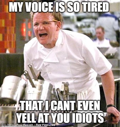 Chef Gordon Ramsay Meme | MY VOICE IS SO TIRED; THAT I CANT EVEN YELL AT YOU IDIOTS | image tagged in memes,chef gordon ramsay | made w/ Imgflip meme maker