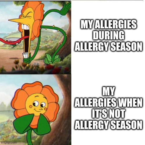 Does this happen to you, too? | MY ALLERGIES DURING ALLERGY SEASON; MY ALLERGIES WHEN IT'S NOT ALLERGY SEASON | image tagged in cuphead flower | made w/ Imgflip meme maker