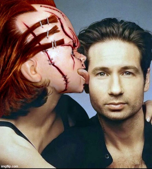fox and dana | image tagged in fox and dana,chucky,childs play,xfiles,david duchovny,gillian anderson | made w/ Imgflip meme maker