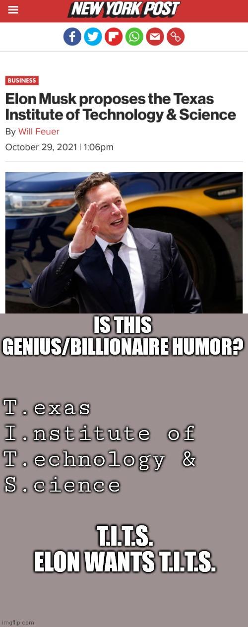 Relax, it's just an acronym | IS THIS GENIUS/BILLIONAIRE HUMOR? T.exas
I.nstitute of
T.echnology &
S.cience; T.I.T.S.

ELON WANTS T.I.T.S. | image tagged in elon musk | made w/ Imgflip meme maker