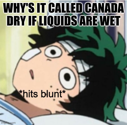 I spent 20 min trying to find the app store on my device | WHY'S IT CALLED CANADA DRY IF LIQUIDS ARE WET | image tagged in hits blunt deku ver | made w/ Imgflip meme maker
