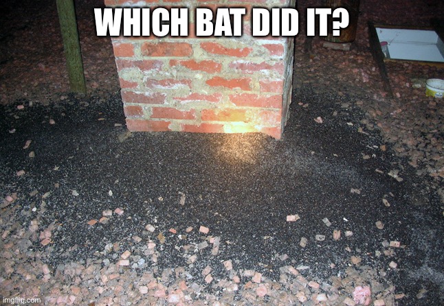 WHICH BAT DID IT? | made w/ Imgflip meme maker