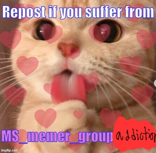 Smash her kitty Blank Meme Template