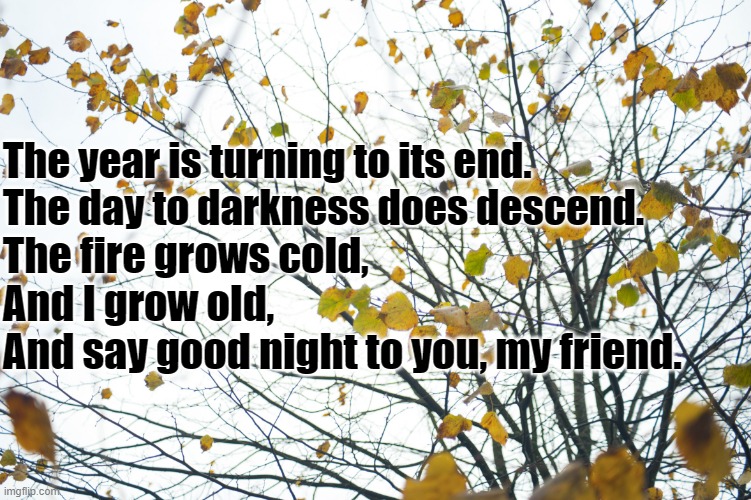late autumn tee | The fire grows cold,
And I grow old,
And say good night to you, my friend. The year is turning to its end.
The day to darkness does descend. | image tagged in late autumn tee | made w/ Imgflip meme maker