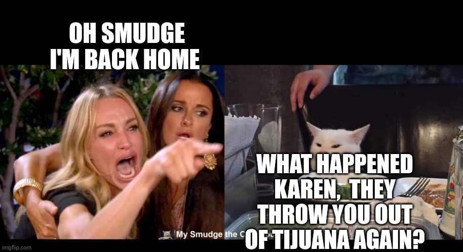 OH SMUDGE I'M BACK HOME; WHAT HAPPENED KAREN,  THEY THROW YOU OUT OF TIJUANA AGAIN? | image tagged in smudge the cat | made w/ Imgflip meme maker