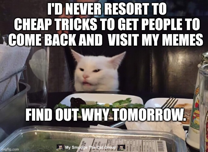 I'D NEVER RESORT TO CHEAP TRICKS TO GET PEOPLE TO COME BACK AND  VISIT MY MEMES; FIND OUT WHY TOMORROW. | image tagged in smudge the cat | made w/ Imgflip meme maker