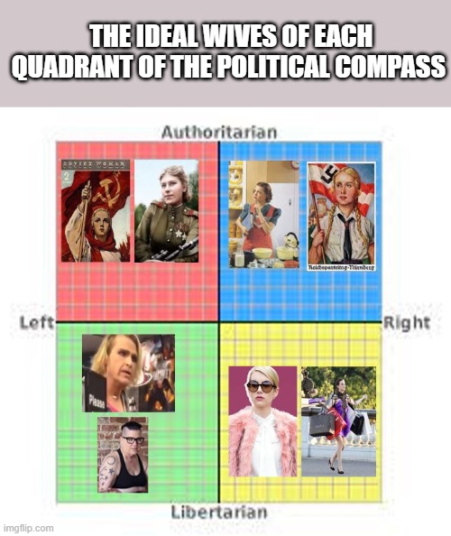 The Ideal wife for all the quadrants | THE IDEAL WIVES OF EACH QUADRANT OF THE POLITICAL COMPASS | image tagged in funny memes,political compass | made w/ Imgflip meme maker