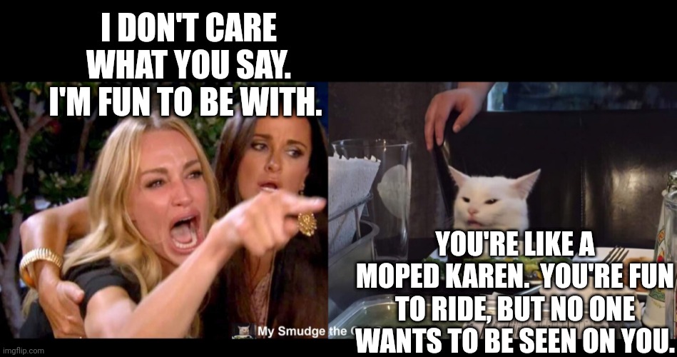 I DON'T CARE WHAT YOU SAY. I'M FUN TO BE WITH. YOU'RE LIKE A MOPED KAREN.  YOU'RE FUN TO RIDE, BUT NO ONE WANTS TO BE SEEN ON YOU. | image tagged in smudge the cat | made w/ Imgflip meme maker