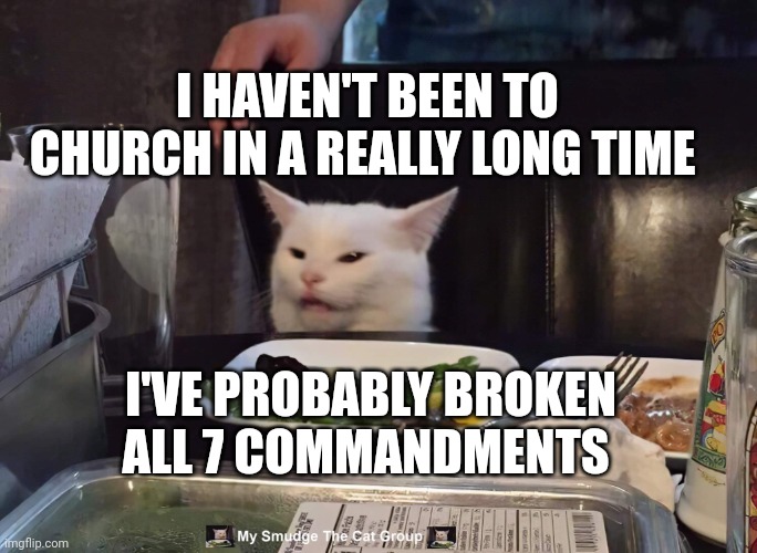 I HAVEN'T BEEN TO CHURCH IN A REALLY LONG TIME; I'VE PROBABLY BROKEN ALL 7 COMMANDMENTS | image tagged in smudge the cat | made w/ Imgflip meme maker