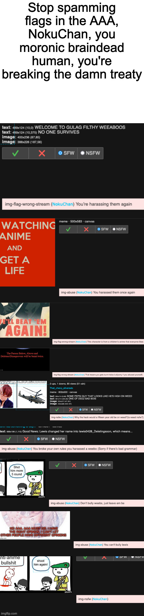 Banned indefinitely. | Stop spamming flags in the AAA, NokuChan, you moronic braindead human, you're breaking the damn treaty | made w/ Imgflip meme maker