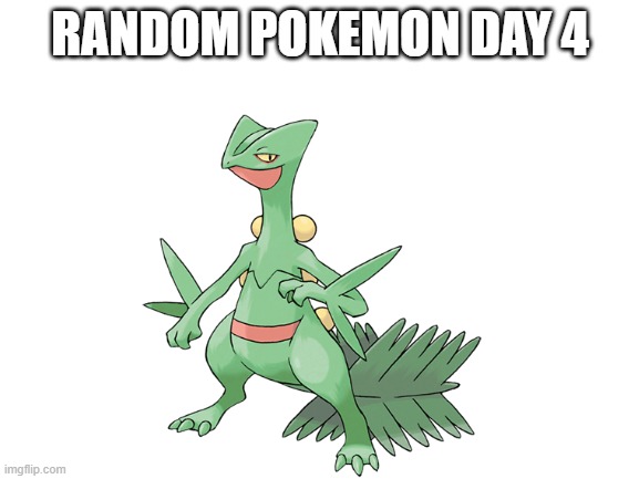 RANDOM POKEMON DAY 4 | image tagged in random pokemon,memes,blank white template | made w/ Imgflip meme maker