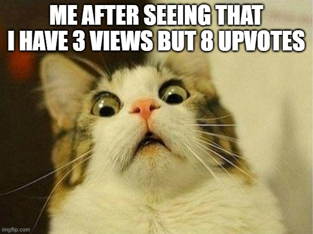 when u meet an odd situation.. | ME AFTER SEEING THAT I HAVE 3 VIEWS BUT 8 UPVOTES | image tagged in memes,scared cat | made w/ Imgflip meme maker