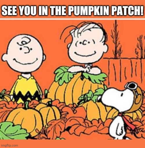 SEE YOU IN THE PUMPKIN PATCH! | made w/ Imgflip meme maker