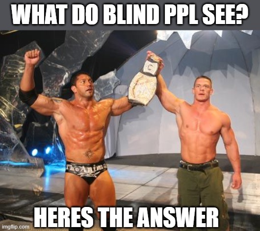 agh yes! u cant see them | WHAT DO BLIND PPL SEE? HERES THE ANSWER | image tagged in john cena,batista,wwe | made w/ Imgflip meme maker
