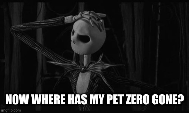 Jack skellington confused | NOW WHERE HAS MY PET ZERO GONE? | image tagged in jack skellington confused | made w/ Imgflip meme maker
