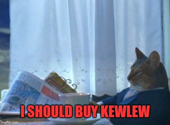 I Should Buy A Boat Cat Meme | I SHOULD BUY KEWLEW | image tagged in memes,i should buy a boat cat | made w/ Imgflip meme maker