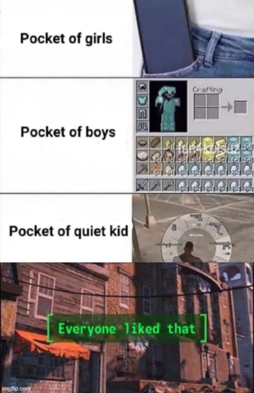 pocket | image tagged in everyone liked that | made w/ Imgflip meme maker