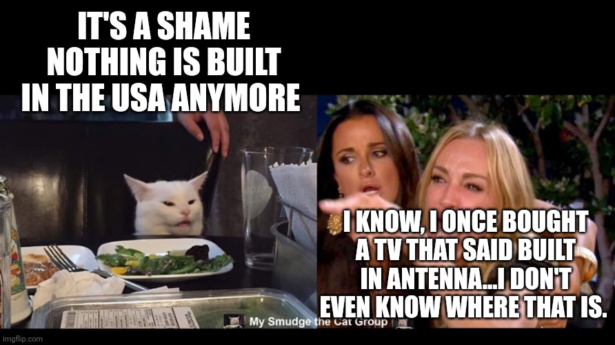 IT'S A SHAME NOTHING IS BUILT IN THE USA ANYMORE; I KNOW, I ONCE BOUGHT A TV THAT SAID BUILT IN ANTENNA...I DON'T EVEN KNOW WHERE THAT IS. | image tagged in smudge the cat | made w/ Imgflip meme maker