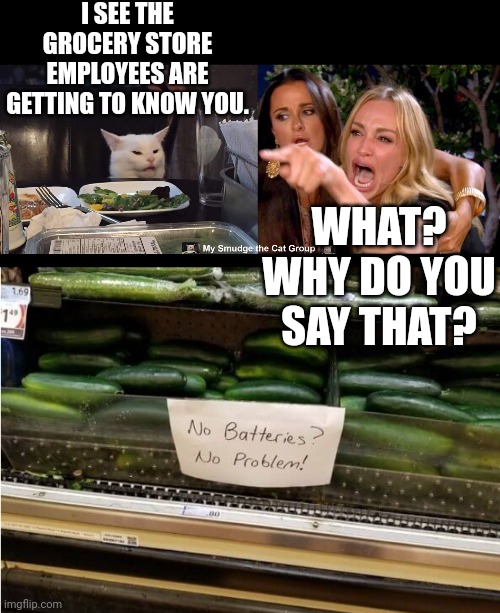 I SEE THE GROCERY STORE EMPLOYEES ARE GETTING TO KNOW YOU. WHAT? WHY DO YOU SAY THAT? | image tagged in smudge the cat | made w/ Imgflip meme maker