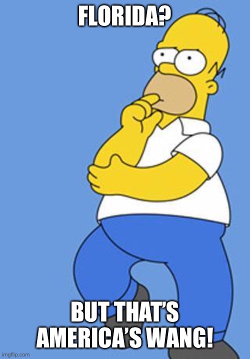 Homer Simpson Thinking | FLORIDA? BUT THAT’S AMERICA’S WANG! | image tagged in homer simpson thinking | made w/ Imgflip meme maker