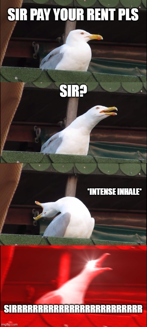 Inhaling Seagull | SIR PAY YOUR RENT PLS; SIR? *INTENSE INHALE*; SIRRRRRRRRRRRRRRRRRRRRRRRRR | image tagged in memes,inhaling seagull | made w/ Imgflip meme maker