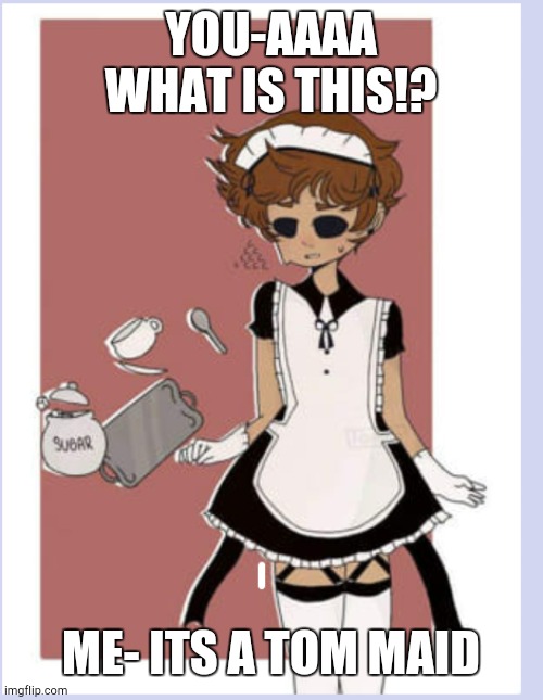 If u litterly saw this | YOU-AAAA WHAT IS THIS!? ME- ITS A TOM MAID | image tagged in eddsworld | made w/ Imgflip meme maker