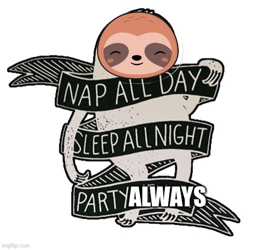 Sloth nap all day sleep all night party never | ALWAYS | image tagged in sloth nap all day sleep all night party never | made w/ Imgflip meme maker