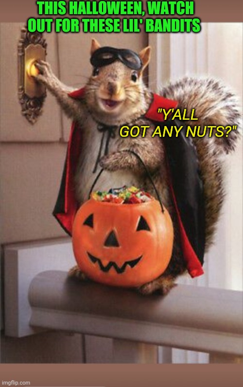 Little Rascals |  THIS HALLOWEEN, WATCH OUT FOR THESE LIL' BANDITS; "Y'ALL GOT ANY NUTS?" | image tagged in crazy,squirrel,happy halloween | made w/ Imgflip meme maker