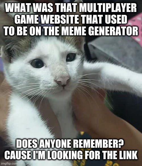 fafa | WHAT WAS THAT MULTIPLAYER GAME WEBSITE THAT USED TO BE ON THE MEME GENERATOR; DOES ANYONE REMEMBER? 
CAUSE I'M LOOKING FOR THE LINK | image tagged in babys cat | made w/ Imgflip meme maker