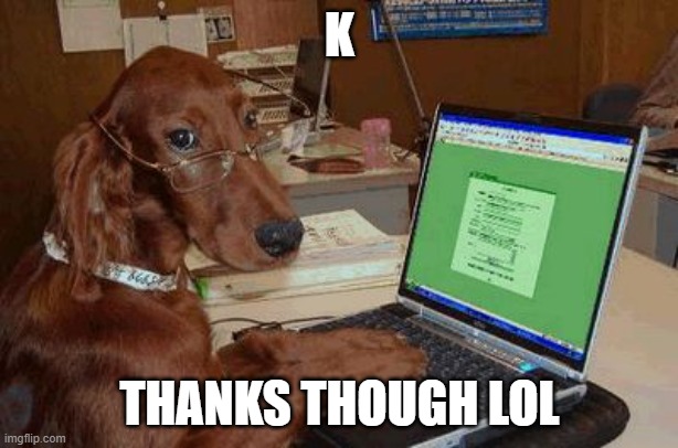 Dog with Glasses on Computer | K THANKS THOUGH LOL | image tagged in dog with glasses on computer | made w/ Imgflip meme maker