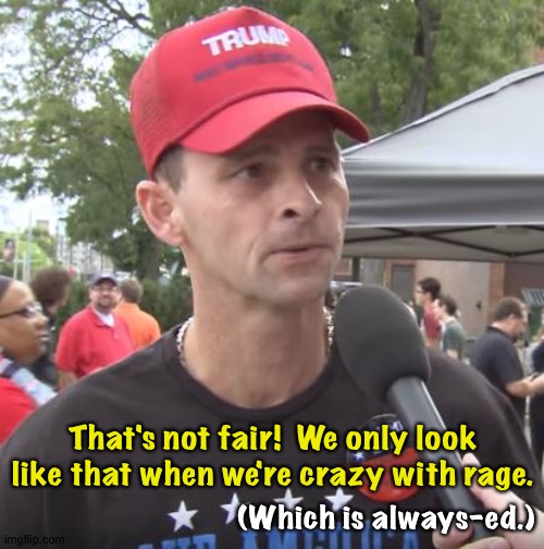 Trump supporter | That's not fair!  We only look like that when we're crazy with rage. (Which is always-ed.) | image tagged in trump supporter | made w/ Imgflip meme maker