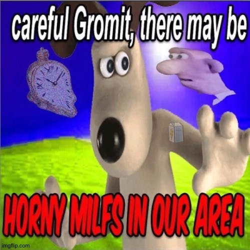 Dead stream | image tagged in careful gromit there may be horny milfs in our area | made w/ Imgflip meme maker
