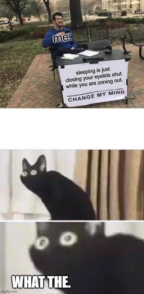 Black Cat Zoning Out Meme Template