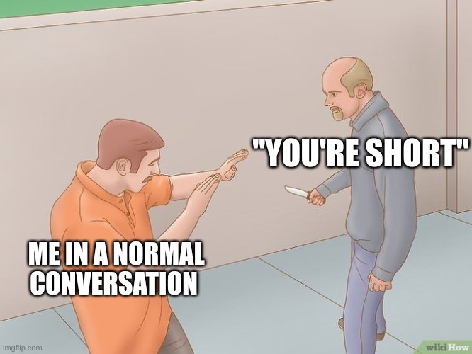 crazy stabbing | "YOU'RE SHORT"; ME IN A NORMAL CONVERSATION | image tagged in crazy stabbing | made w/ Imgflip meme maker