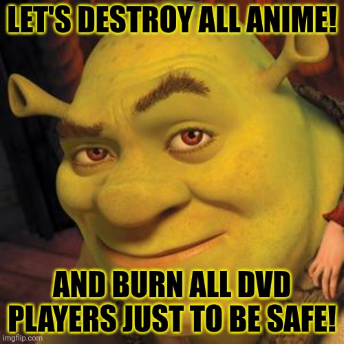 Shrek hates most anime. | LET'S DESTROY ALL ANIME! AND BURN ALL DVD PLAYERS JUST TO BE SAFE! | image tagged in shrek sexy face,shrek,corey in the house,best show ever | made w/ Imgflip meme maker