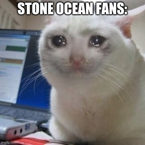 Crying cat | STONE OCEAN FANS: | image tagged in crying cat | made w/ Imgflip meme maker