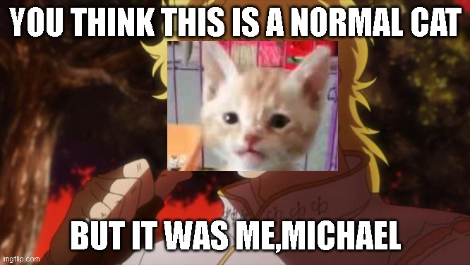 this is a normal cat | YOU THINK THIS IS A NORMAL CAT; BUT IT WAS ME,MICHAEL | image tagged in but it was me dio | made w/ Imgflip meme maker