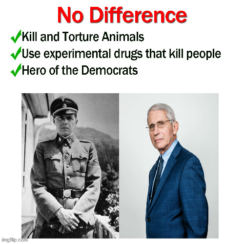 Democrat heroes | image tagged in stupid liberals | made w/ Imgflip meme maker