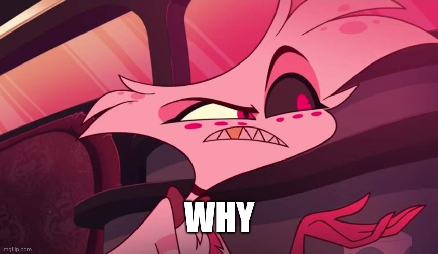 Hazbin hotel Angel dust | WHY | image tagged in hazbin hotel angel dust | made w/ Imgflip meme maker