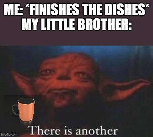 This is annoying | ME: *FINISHES THE DISHES*
MY LITTLE BROTHER: | image tagged in yoda there is another | made w/ Imgflip meme maker