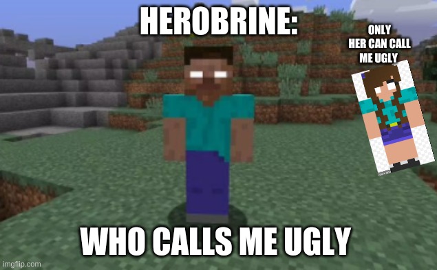 I called herobrine ugly >:) | HEROBRINE:; ONLY HER CAN CALL ME UGLY; WHO CALLS ME UGLY | image tagged in herobrine | made w/ Imgflip meme maker