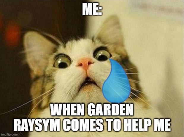 garden raysym part 4or5 idk | ME:; WHEN GARDEN RAYSYM COMES TO HELP ME | image tagged in memes,scared cat | made w/ Imgflip meme maker